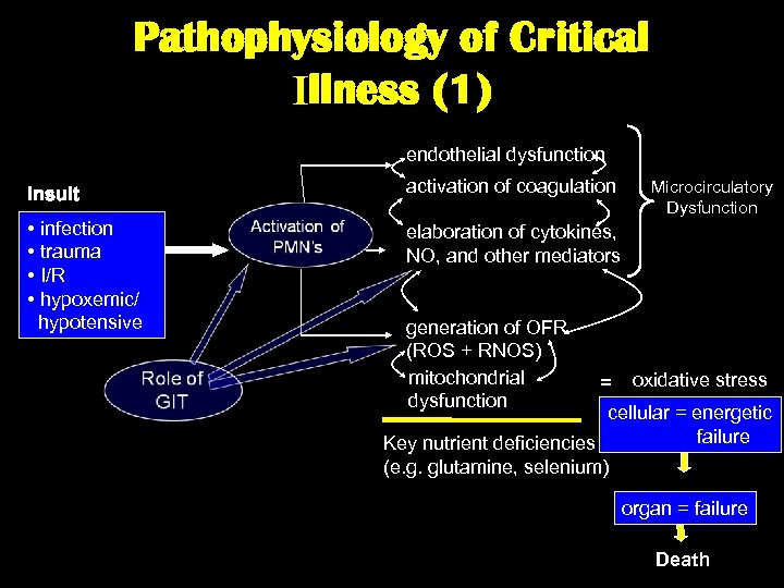 Pathophysiology of Critical Illness (1) endothelial dysfunction Insult activation of coagulation • infection •