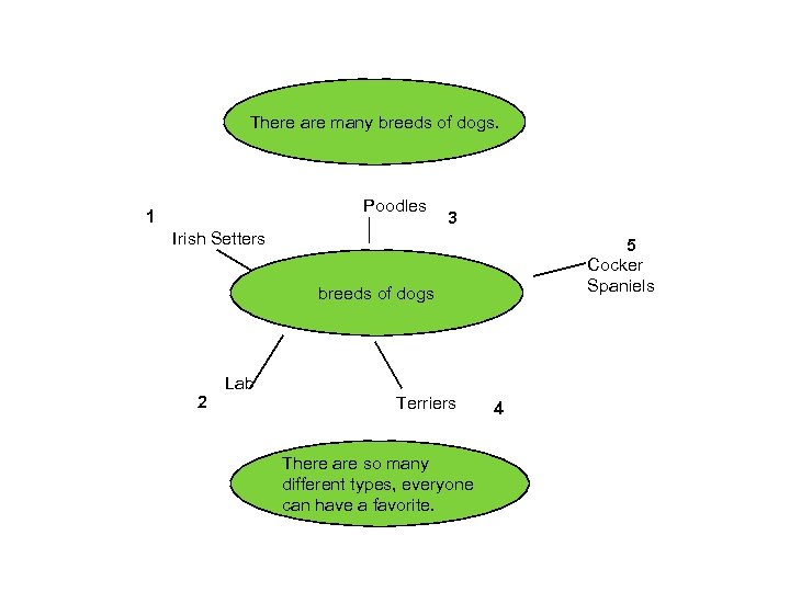 There are many breeds of dogs. Poodles 1 3 Irish Setters 5 Cocker Spaniels