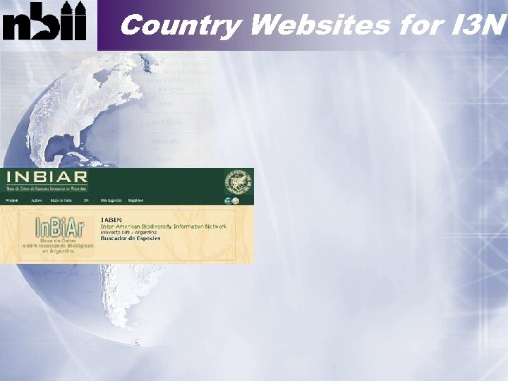 Country Websites for I 3 N 