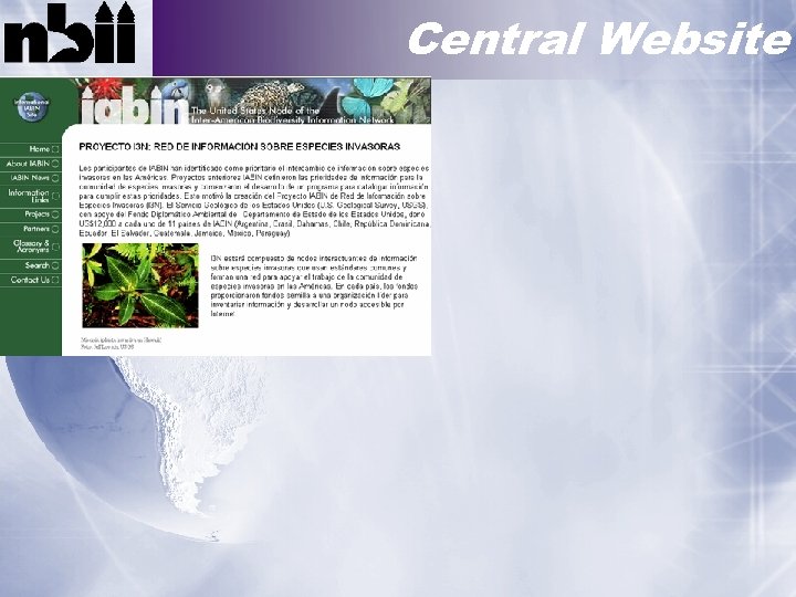 Central Website 