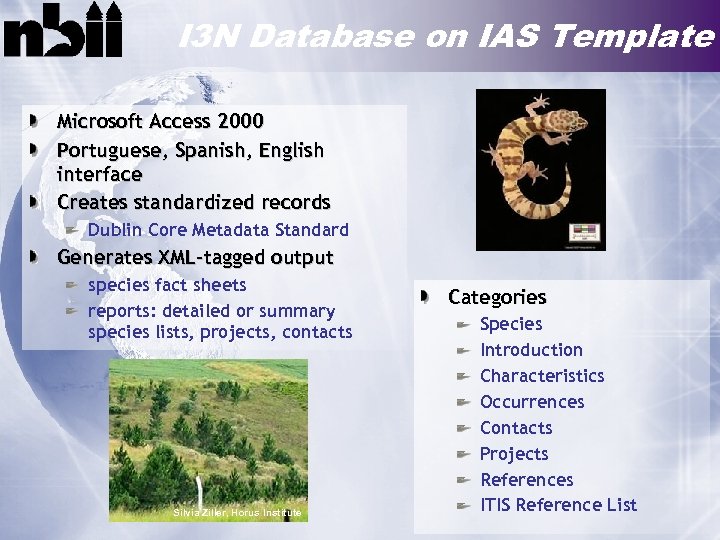 I 3 N Database on IAS Template Microsoft Access 2000 Portuguese, Spanish, English interface