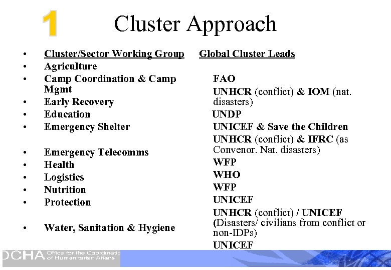 Cluster Approach • • • Cluster/Sector Working Group Agriculture Camp Coordination & Camp Mgmt