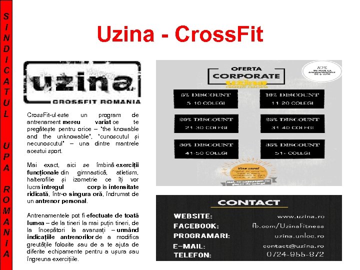 S I N D I C A T U L U P A R