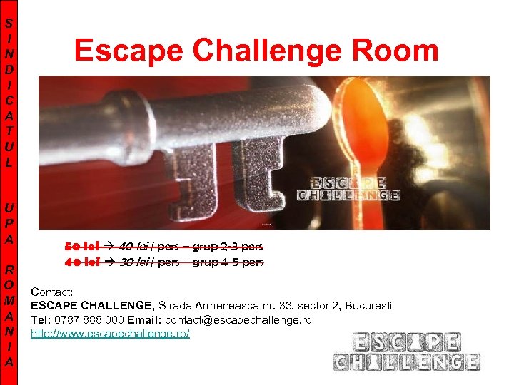 S I N D I C A T U L U P A R