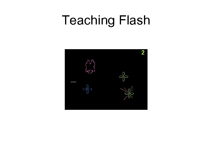 Teaching Flash 