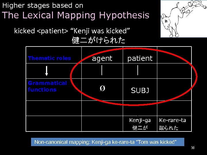 Higher stages based on The Lexical Mapping Hypothesis kicked <patient> “Kenji was kicked” 健二がけられた