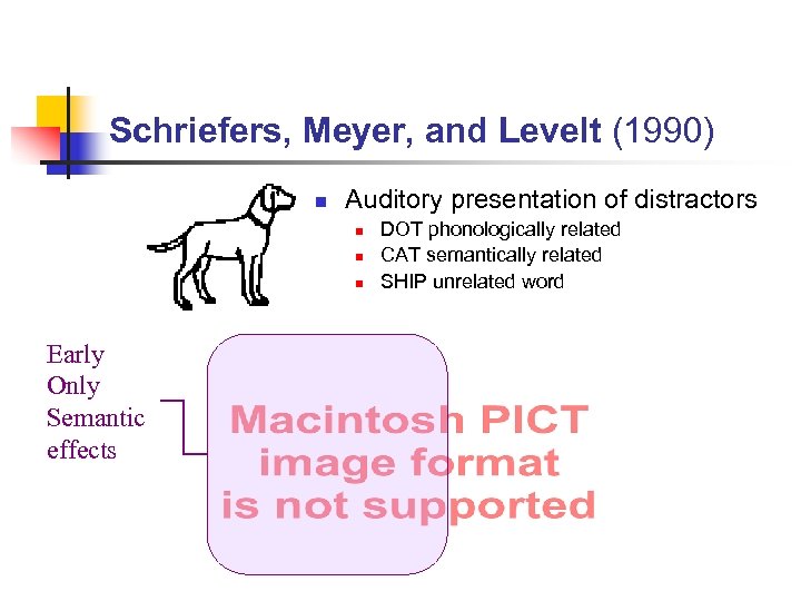 Schriefers, Meyer, and Levelt (1990) n Auditory presentation of distractors n n n Early