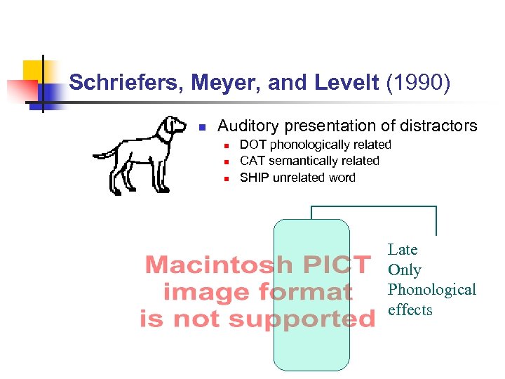 Schriefers, Meyer, and Levelt (1990) n Auditory presentation of distractors n n n DOT