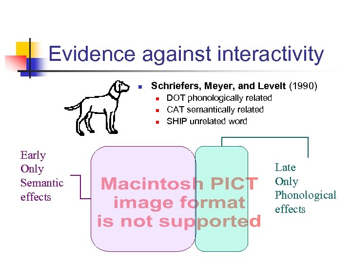 Evidence against interactivity n Schriefers, Meyer, and Levelt (1990) n n n Early Only