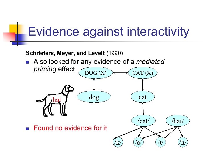 Evidence against interactivity Schriefers, Meyer, and Levelt (1990) n Also looked for any evidence