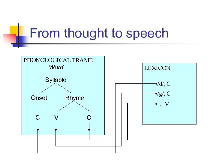 From thought to speech PHONOLOGICAL FRAME Word Syllable Onset C • /d/, C •