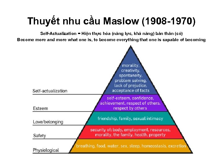 Thuyết nhu cầu Maslow (1908 -1970) Self-Actualization = Hiện thực hóa (năng lực, khả