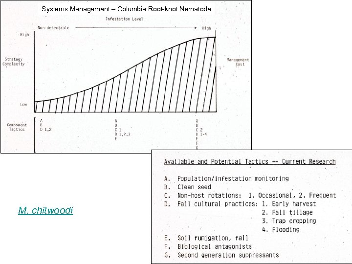 Systems Management – Columbia Root-knot Nematode M. chitwoodi 