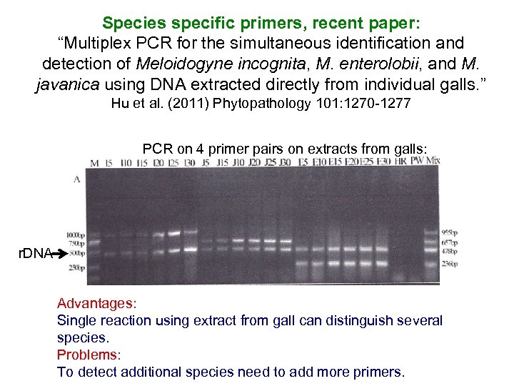 Species specific primers, recent paper: “Multiplex PCR for the simultaneous identification and detection of