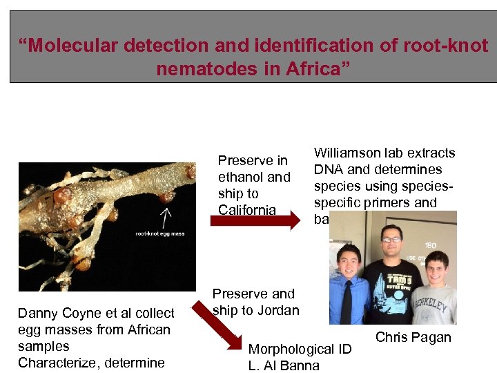 “Molecular detection and identification of root-knot nematodes in Africa” Preserve in ethanol and ship