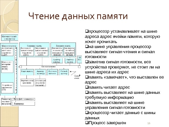 Чтение данных памяти qпроцессор устанавливает на шине адреса адрес ячейки памяти, которую хочет прочитать