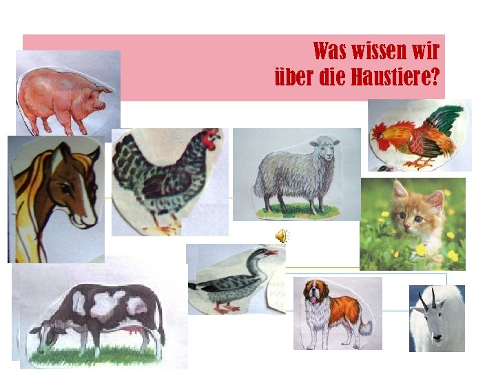 Was wissen wir über die Haustiere? 