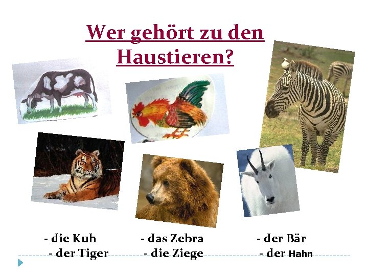 Wer gehört zu den Haustieren? - die Kuh - der Tiger - das Zebra