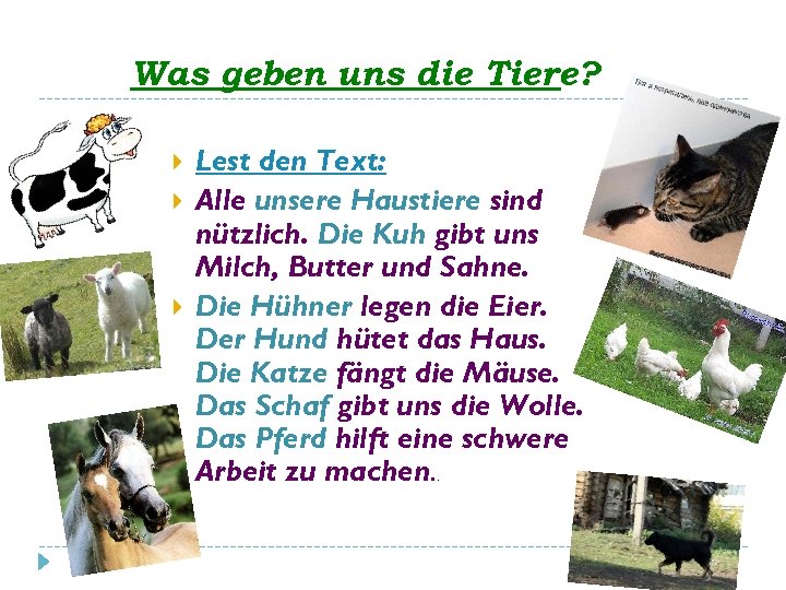 Was geben uns die Tiere? Lest den Text: Alle unsere Haustiere sind nützlich. Die