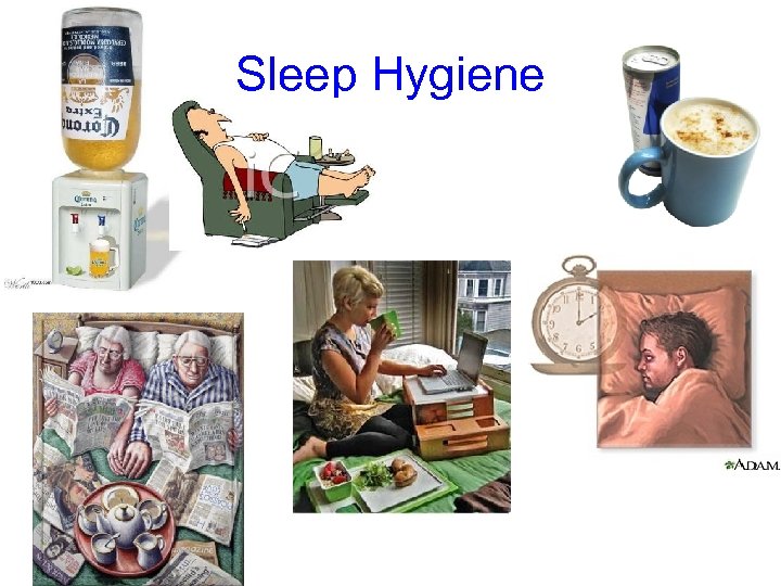 Sleep Hygiene 