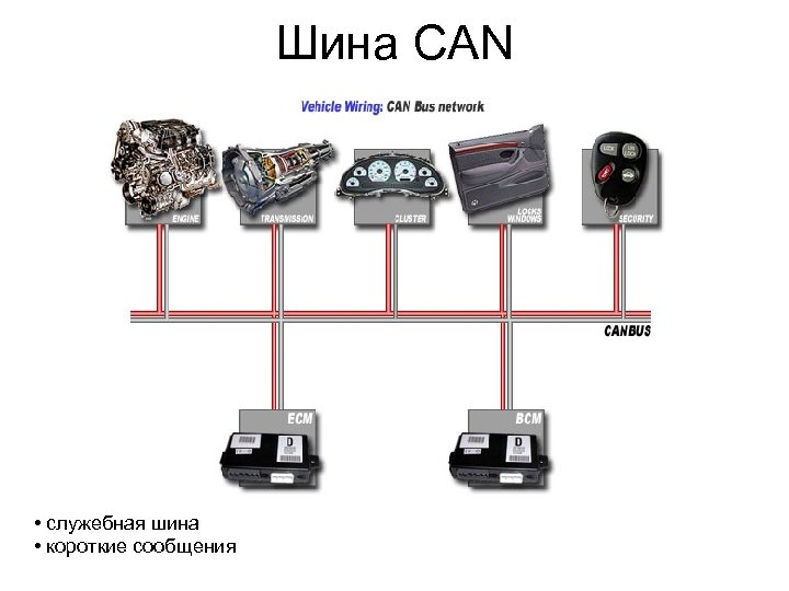 Area controller. Кан шина на ЭБУ. Контроллер Кан шины. Кан шина в автомобиле что это. Кан шина ВАЗ 2114.