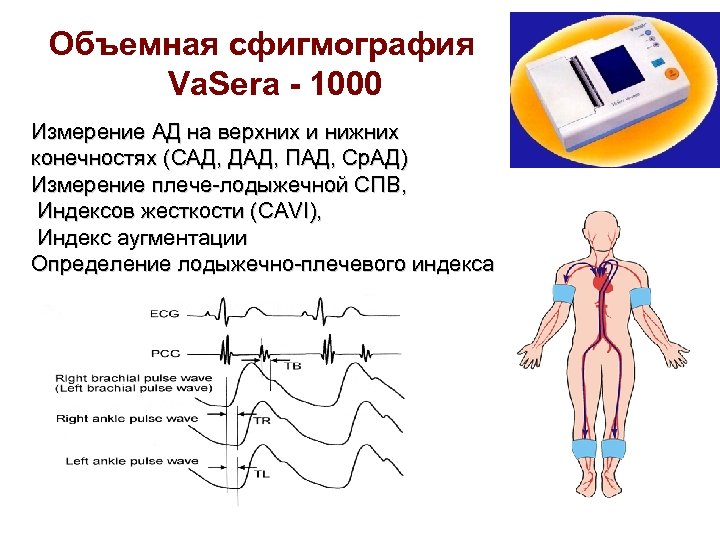 Объемная сфигмография Va. Sera - 1000 Измерение АД на верхних и нижних конечностях (САД,