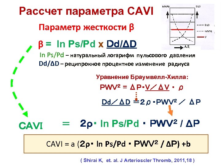 Рассчет параметра CAVI Параметр жесткости β 　　　　　 　 β = ln Ps/Pd x Ｄｄ/ΔD