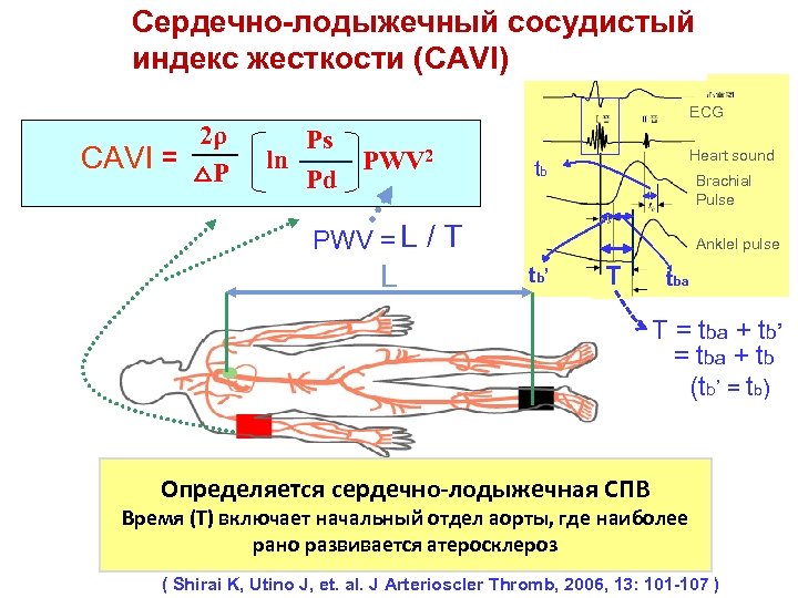 Сердечно-лодыжечный сосудистый индекс жесткости (CAVI) ECG 2ρ CAVI = △P ln Ps Pd PWV