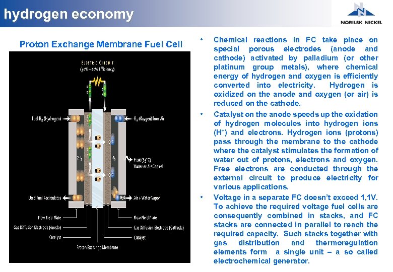 hydrogen economy Proton Exchange Membrane Fuel Cell • • • Chemical reactions in FC