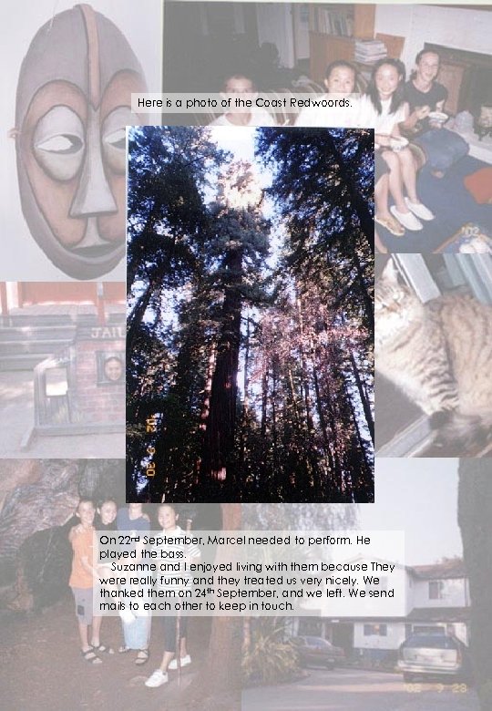 Here is a photo of the Coast Redwoords. On 22 nd September, Marcel needed