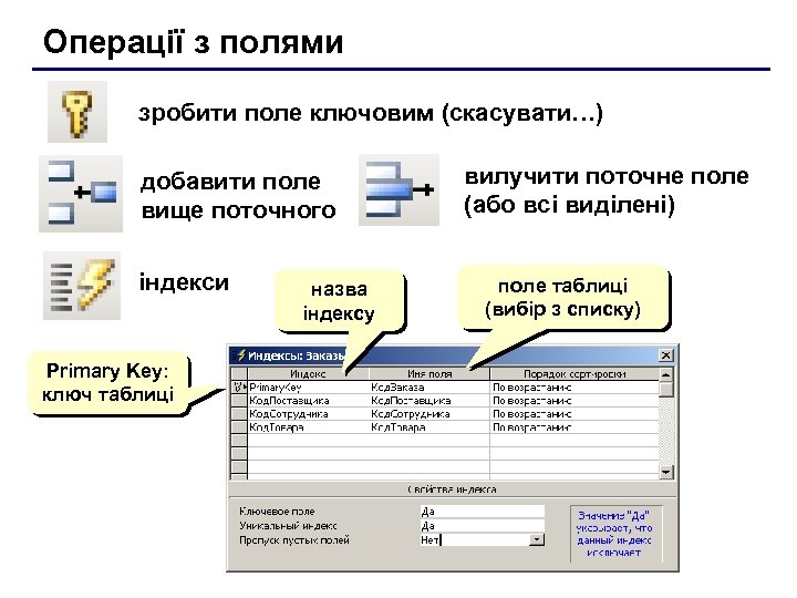 Операції з полями зробити поле ключовим (скасувати…) добавити поле вище поточного індекси Primary Key: