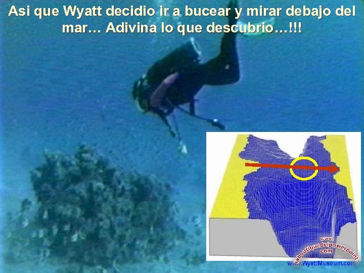 Asi que Wyatt decidio ir a bucear y mirar debajo del mar… Adivina lo