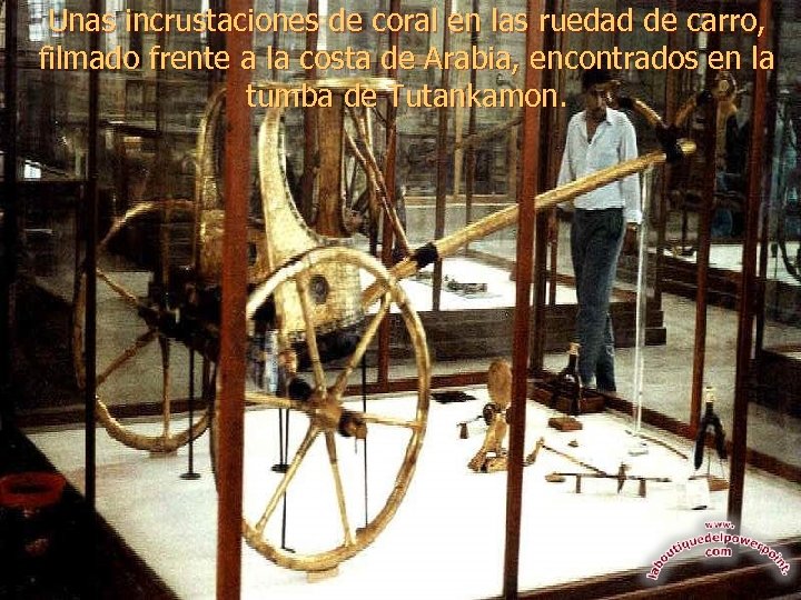 Unas incrustaciones de coral en las ruedad de carro, filmado frente a la costa