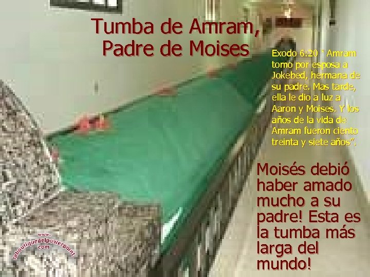 Tumba de Amram, Padre de Moises Exodo 6: 20 “ Amram tomo por esposa