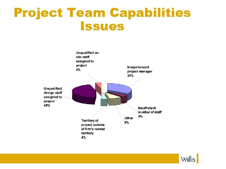 Project Team Capabilities Issues 