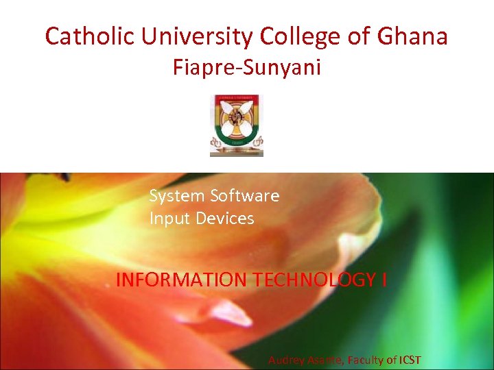 Catholic University College of Ghana Fiapre-Sunyani System Software Input Devices INFORMATION TECHNOLOGY I Audrey