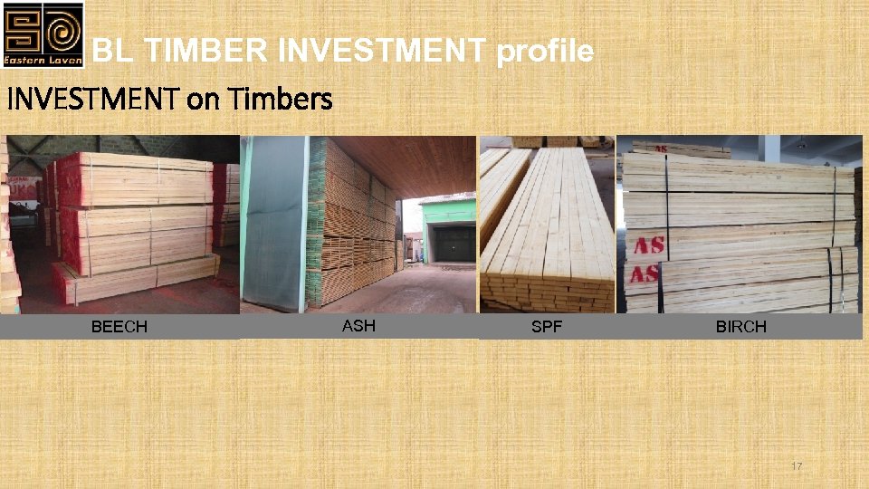 BL TIMBER INVESTMENT profile INVESTMENT on Timbers BEECH ASH SPF BIRCH 17 