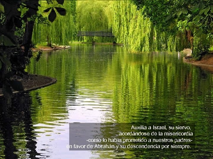 Auxilia a Israel, su siervo, acordándose de la misericordia -como lo había prometido a
