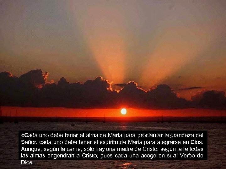  «Cada uno debe tener el alma de María para proclamar la grandeza del