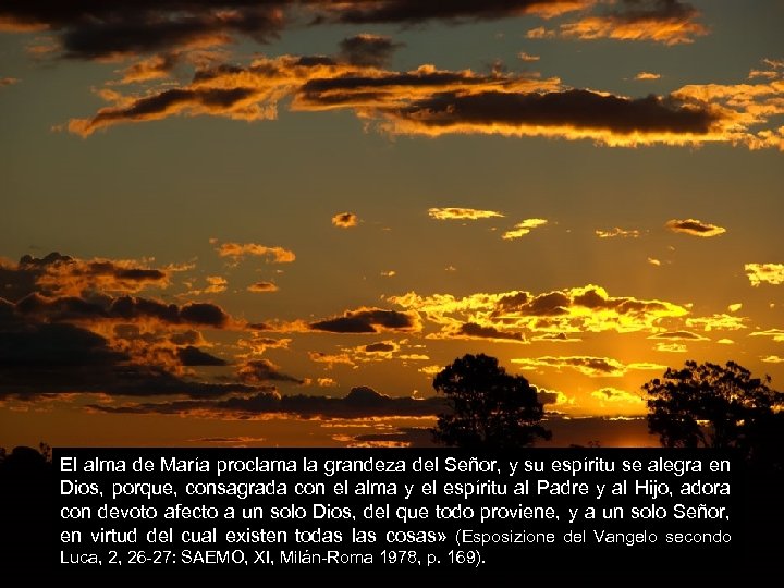 El alma de María proclama la grandeza del Señor, y su espíritu se alegra