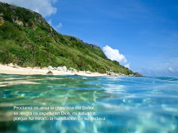 Proclama mi alma la grandeza del Señor, se alegra mi espíritu en Dios, mi