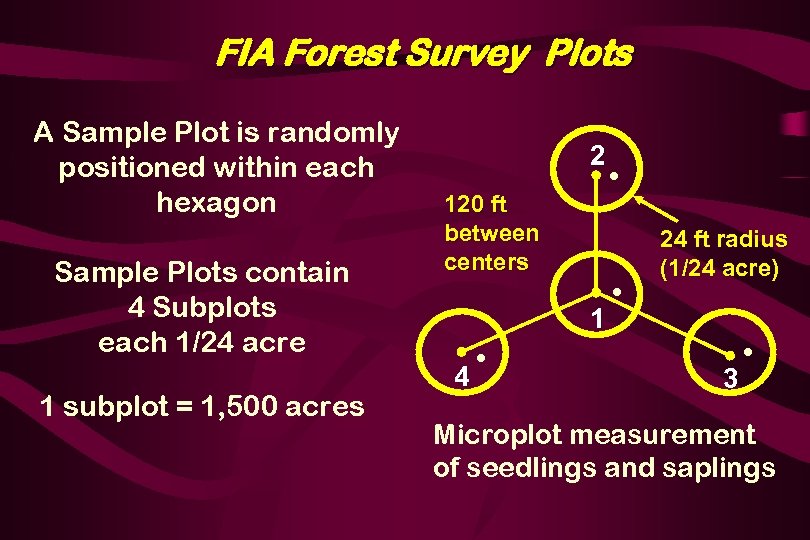 FIA Forest Survey Plots A Sample Plot is randomly positioned within each hexagon Sample