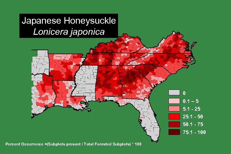 Japanese Honeysuckle Lonicera japonica 0 0. 1 – 5 5. 1 - 25 25.