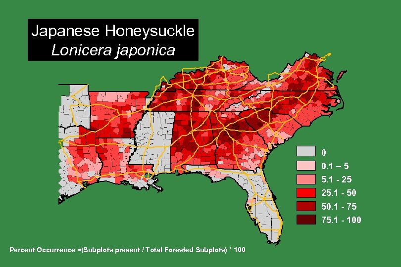 Japanese Honeysuckle Lonicera japonica 0 0. 1 – 5 5. 1 - 25 25.