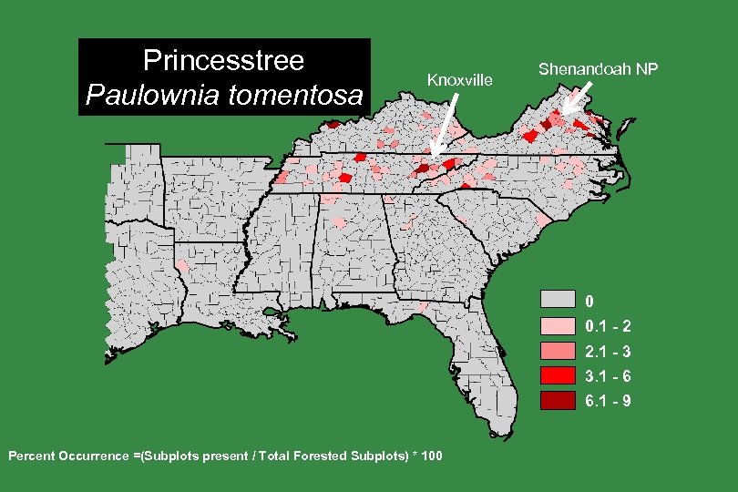 Princesstree Paulownia tomentosa Knoxville Shenandoah NP 0 0. 1 - 2 2. 1 -