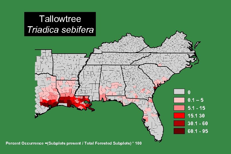 Tallowtree Triadica sebifera 0 0. 1 – 5 5. 1 - 15 15. 1