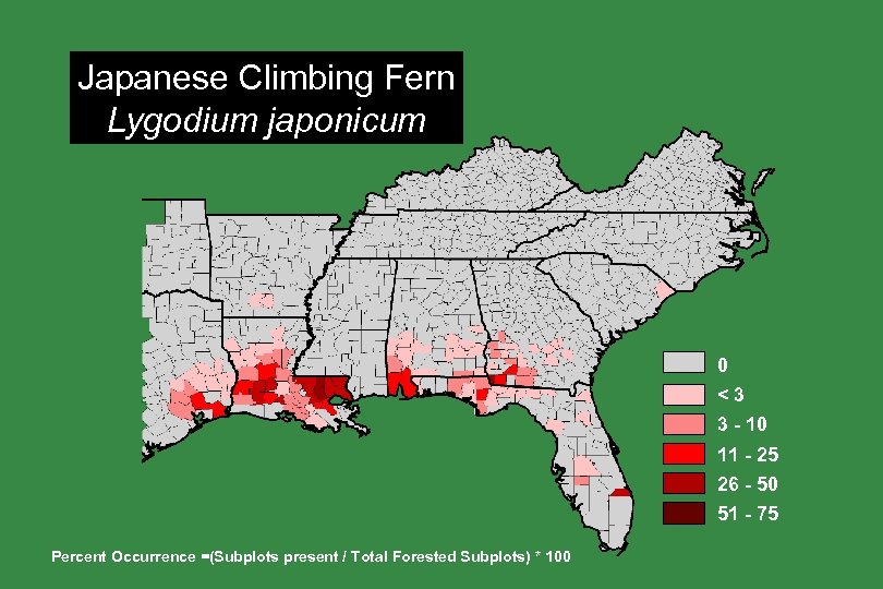 Japanese Climbing Fern Lygodium japonicum 0 <3 3 - 10 11 - 25 26