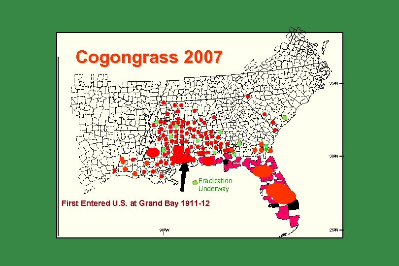 Cogongrass 2007 35ºN 30ºN Eradication Underway First Entered U. S. at Grand Bay 1911