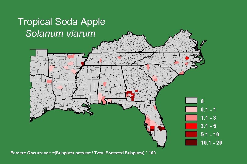 Tropical Soda Apple Solanum viarum 0 0. 1 - 1 1. 1 - 3
