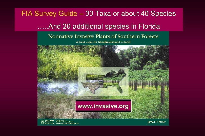 FIA Survey Guide – 33 Taxa or about 40 Species …. . And 20